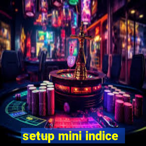 setup mini indice